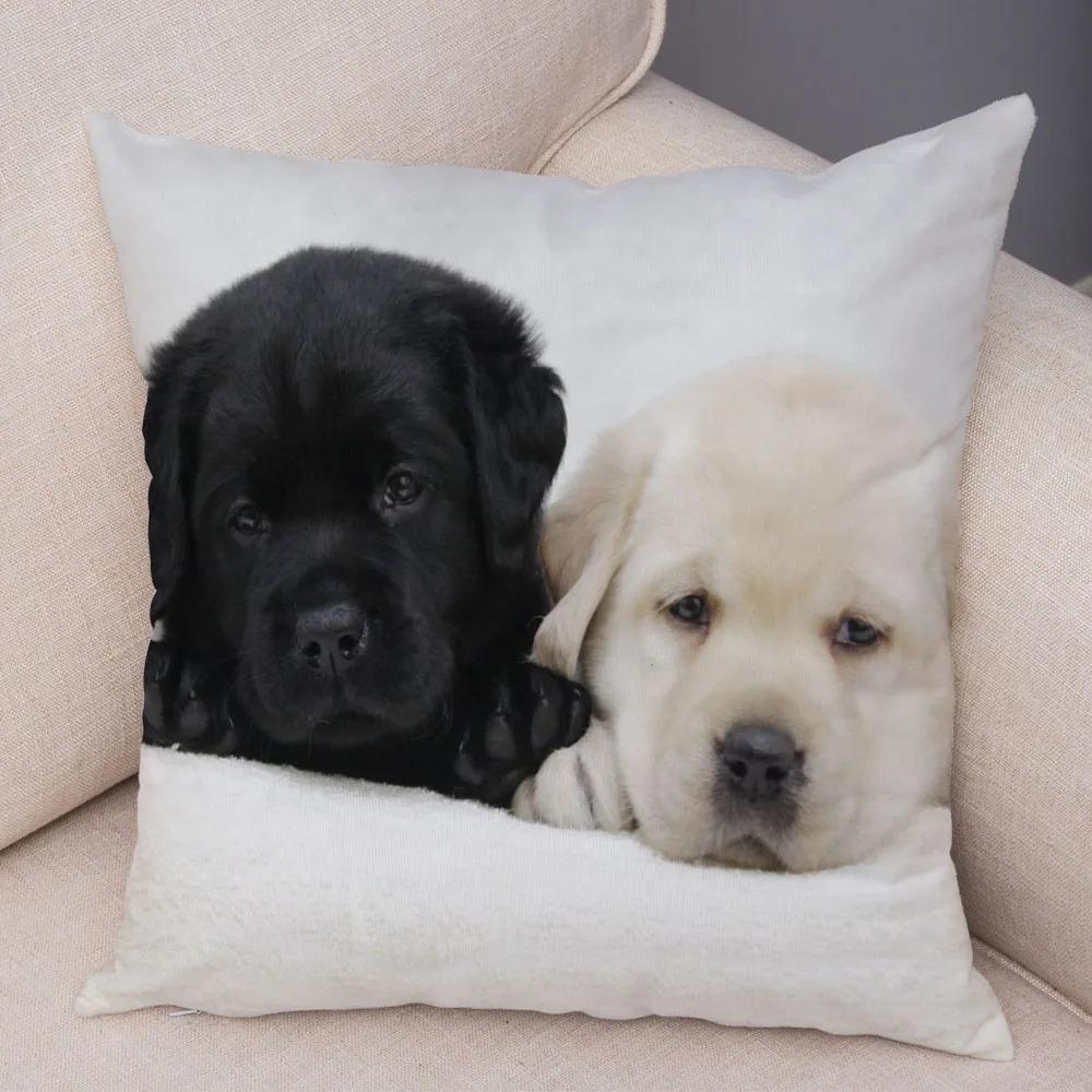 Office Living Room Home Pillowcase Pet Labrador Pattern Pillowcase Car Ornaments