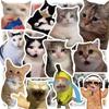 100 Stück Süße und Lustige Katzen-Sticker-Packung - Trendige Memes im Instagram-Stil für Laptops, Koffer, Computer, Stühle, Wände, Schränke