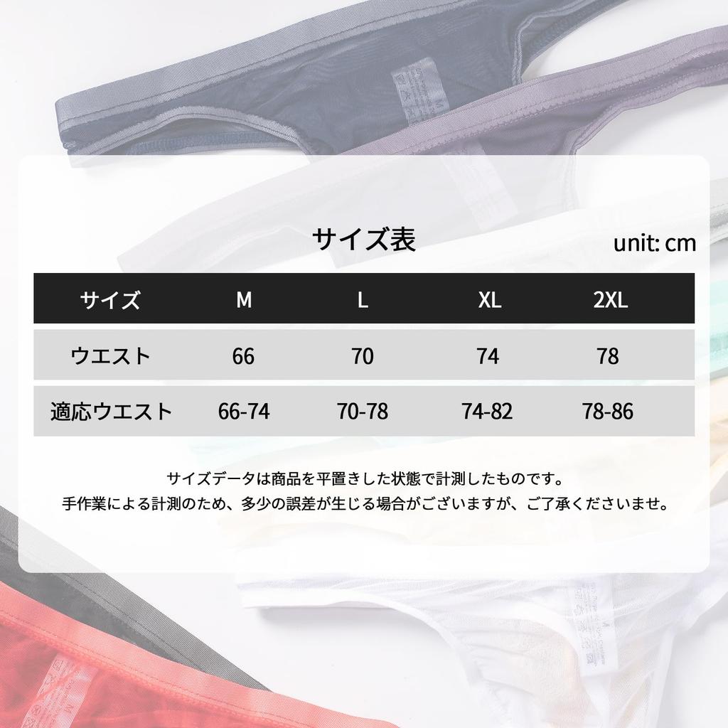 Amy Coulee Sheer Micro Mesh Sexy Lingerie Men's T-Back, Ultra-Thin (White, L)