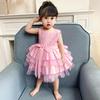 Children's Lace Long Sleeve Puff Dress - Baby's 1st Birthday/Baptism Gift for Girls 2025