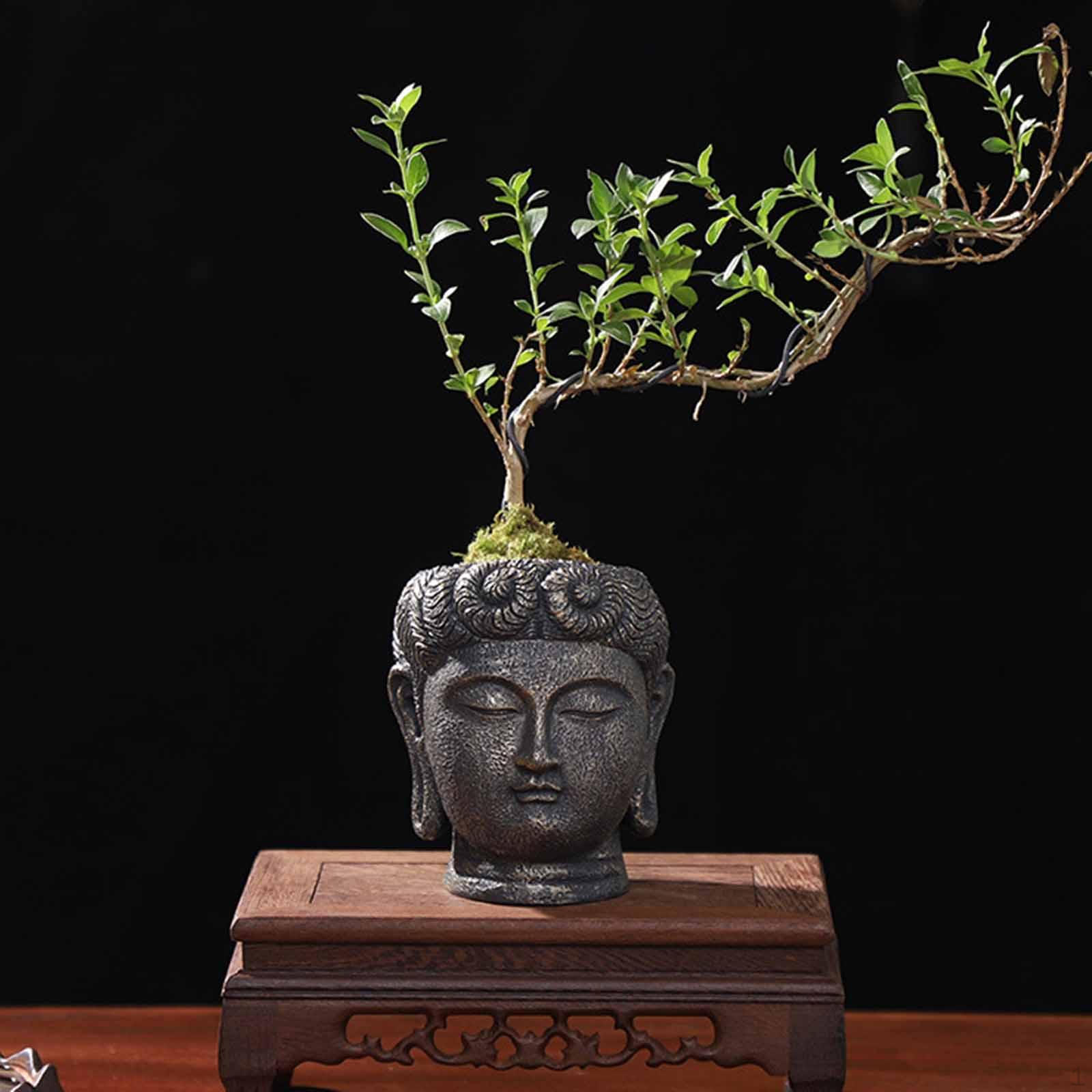 

Buddha er Pot, Container, Kitchen And Outdoor Planter 9cmx9.8cmx11cm