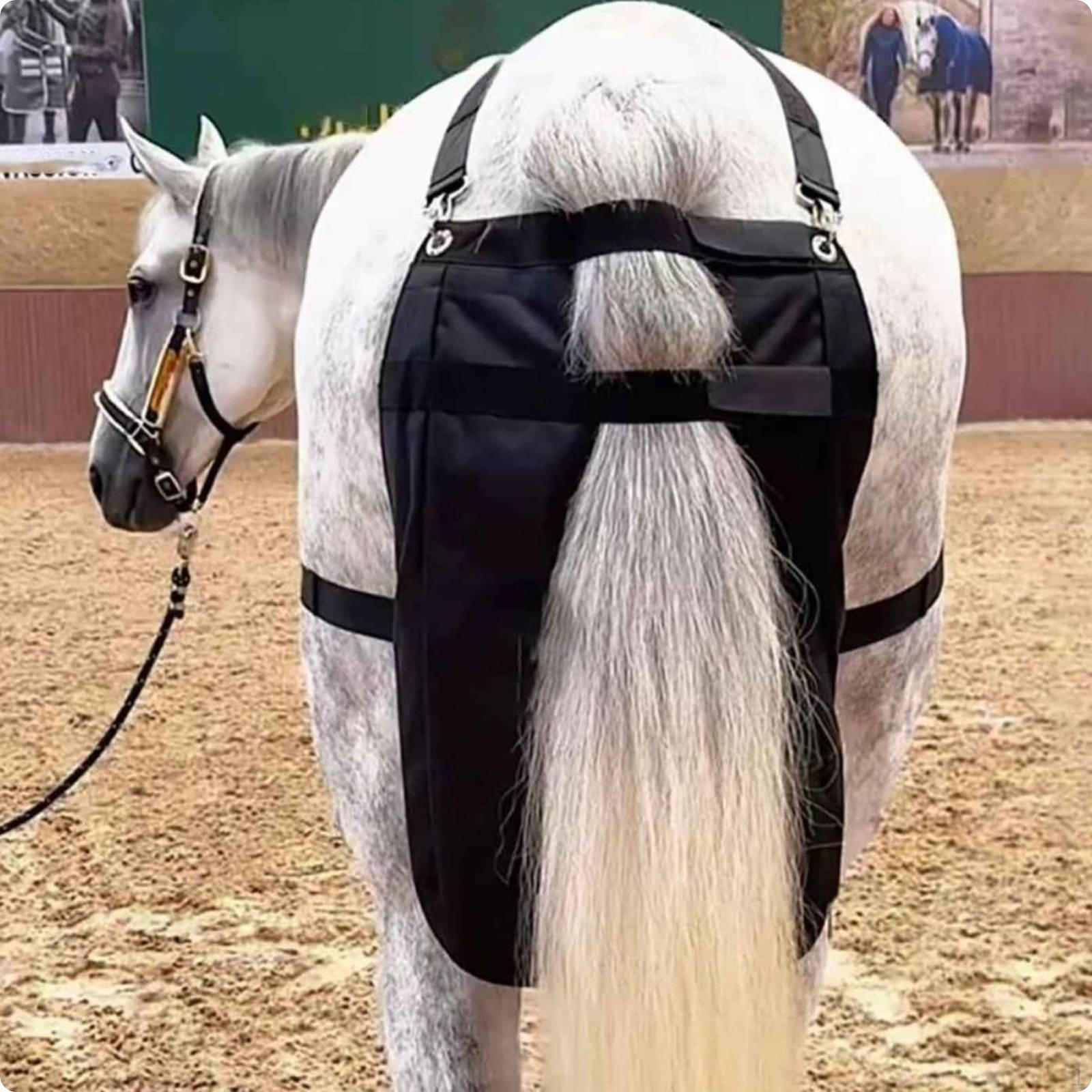 Waterproof Horse Manure WearResistant bagResistant Bag