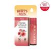 Burt's Bees Tinted Lip Balm Rose