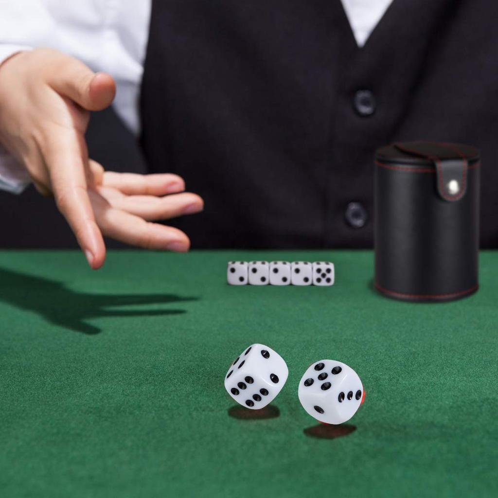 GWHOLE Dice Cup Dice Stackable PU Leather Double 10 Dice Set, Dice, Material, Layer, (Black)