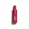 Kiss Cloud Blotted Lip Color 016 Berry Soft (Color Image: Cassis Chocolate Brevet) 5mL