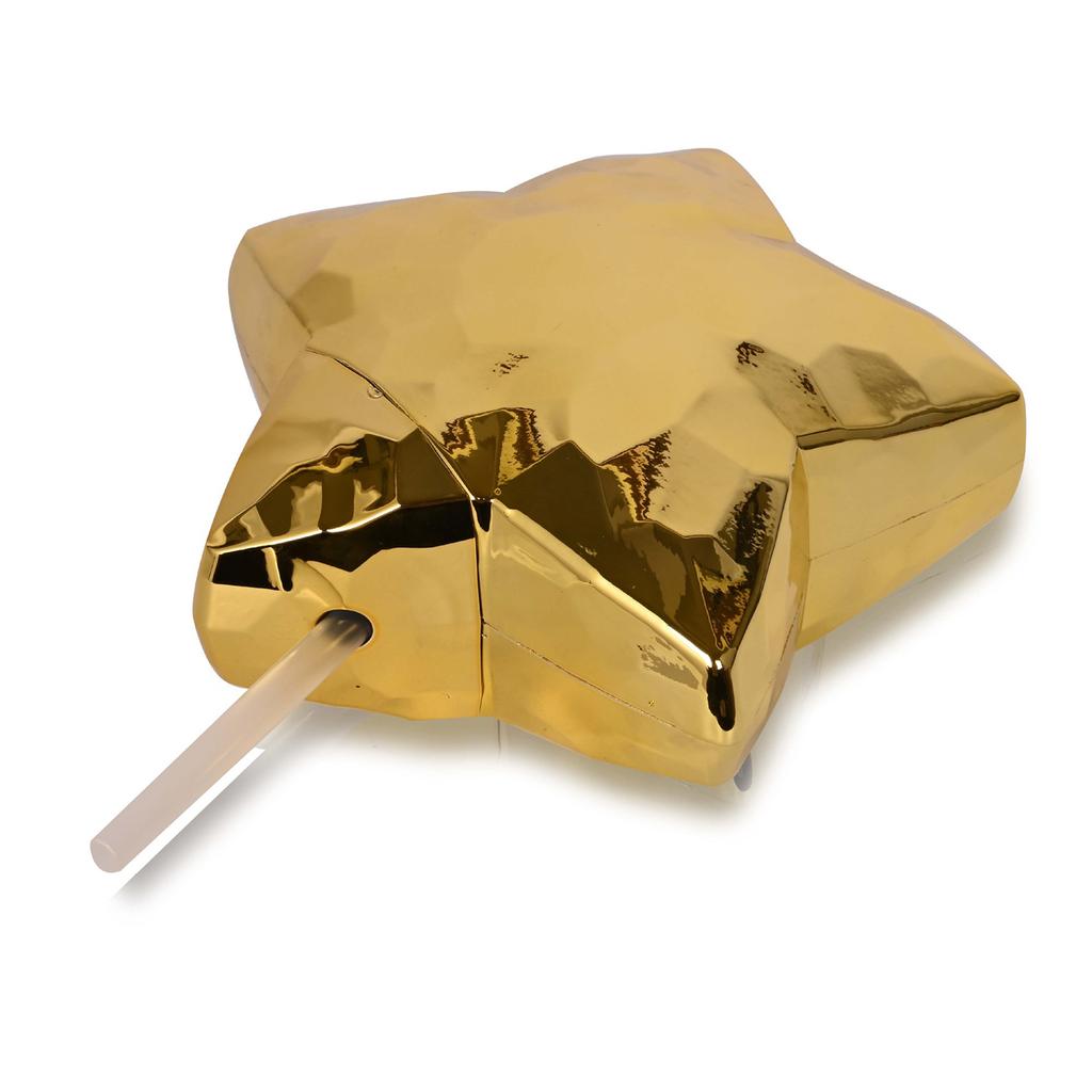 Set of 2 Plastic Straw Cup with Straw Elegant Beverage Cup Colorful Star Shaped Drinkware Water Bottle for Women Girls