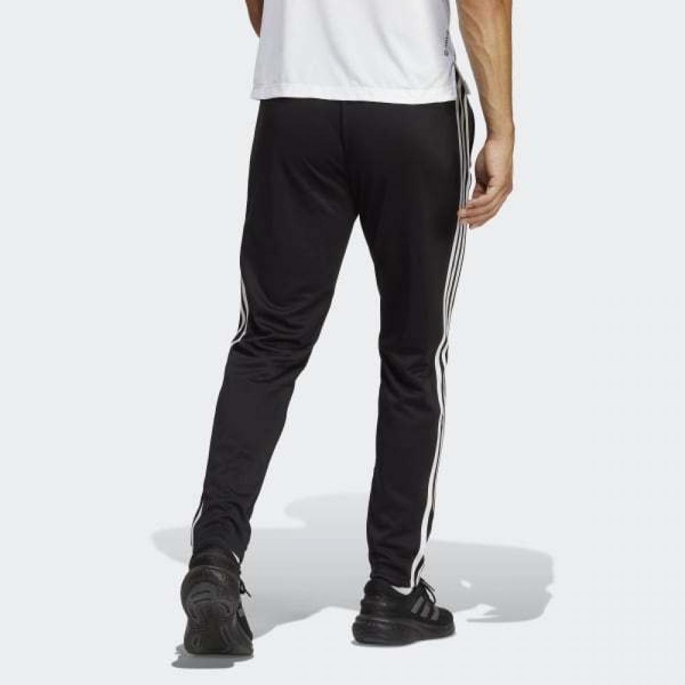 Adidas Tr Es Base 3 Pt