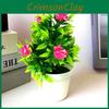Mini Flower Rose Potted Home Decoration Ornaments For Tabletop Gift Decor