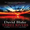Three Rivers by David Blake Paperback Book 9781916347939