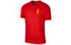 T Shirts Men's Red Crew Neck Moderate Straight Fit CI9843-650