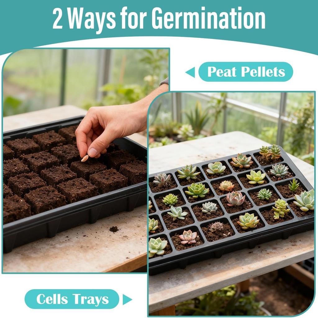 24 Große 2" Zellen Anzuchtschale mit Dom Anzuchtschalen Feuchtigkeitsdeckel für Gewächshaus Heim Pflanzenvermehrung