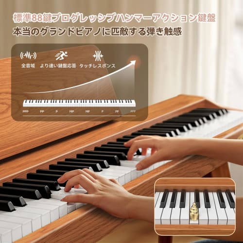TERENCE Digital Piano, 88 Keys, Hammer Action Keyboard, 20W Dual Speakers, Wooden Stand, Integrated Keyboard, Touch-Response Keyboard, Audio/MIDI/Mic