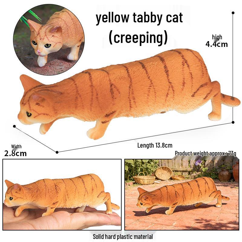 Solid Orange Persian, Ragdoll, Somali, and Blue Short-haired Cat Simulation Models