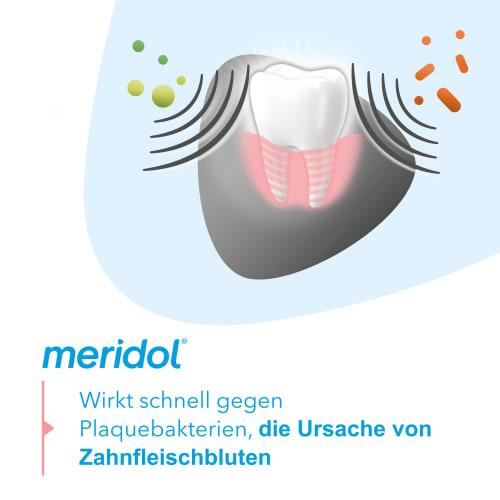 Meridol Zahnpasta Zahnfleischschutz 75 Ml