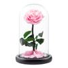 Eternal Flower Glass Cover Little Prince Rose Valentine's Day Gift Premium Finished Gift Box