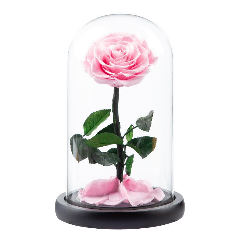 Eternal Flower Glass Cover Little Prince Rose Valentine's Day Gift Premium Finished Gift Box