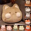 Cartoon Plush Cushion Pillow With Removable Cover For Office Nap Gift For Teens