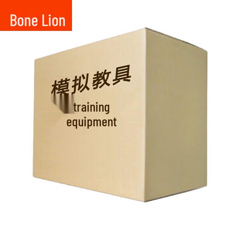 Bone Lion Anatomical Teaching Model