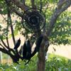 Dreamcatcher Feather Plush Originality Handmade Pendant Decorated Colors Four