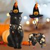 Hat Scraf Puppy Kitten Halloween Costumes for Holiday Cosplay Party Apparel