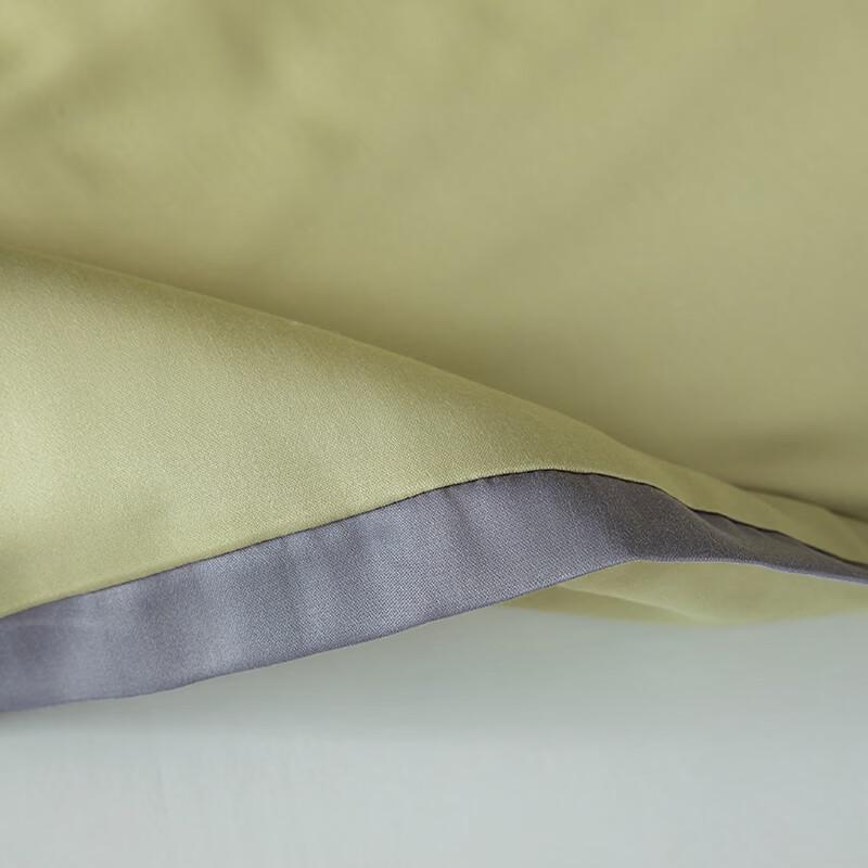 CHANSI Camellia Series Summer AC Quilt