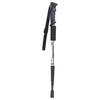 Retractable Aluminum Walking Stick & Trekking Pole (2-Pack)