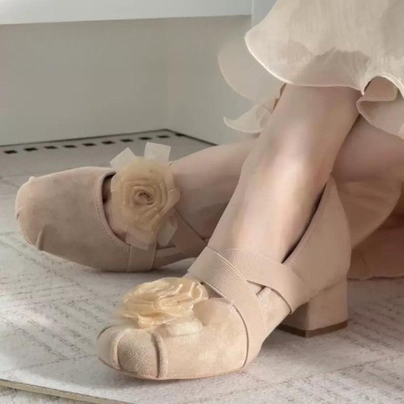 Small Inside Heightened Shallow Single Shoes Women's Spring 2025 New Retro French Temperament Mary Jane Shoes