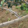 10pcs of Metal Branch Pruners, Tools for Shaping Garden Flowers