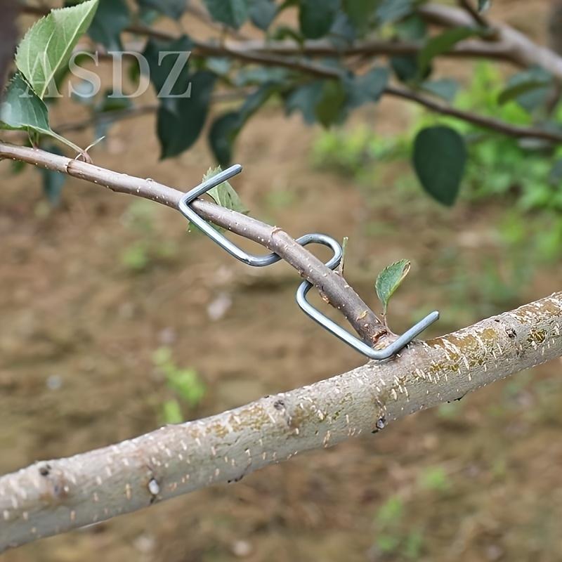 10pcs of Metal Branch Pruners, Tools for Shaping Garden Flowers