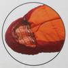 Coleman Mummy Adjustable Sleeping Bag 2000027271 Kids' C4, 4°C (Mummy Style), Orange,