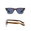 Plastic frame sunglasses S31109Best-selling classic sunglasses in Europe and America, available with prescription lenses and blue light protection