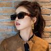High-End European & American Fashion Sunglasses: UV Protection, Versatile, Unisex, Perfect for Travel Photos