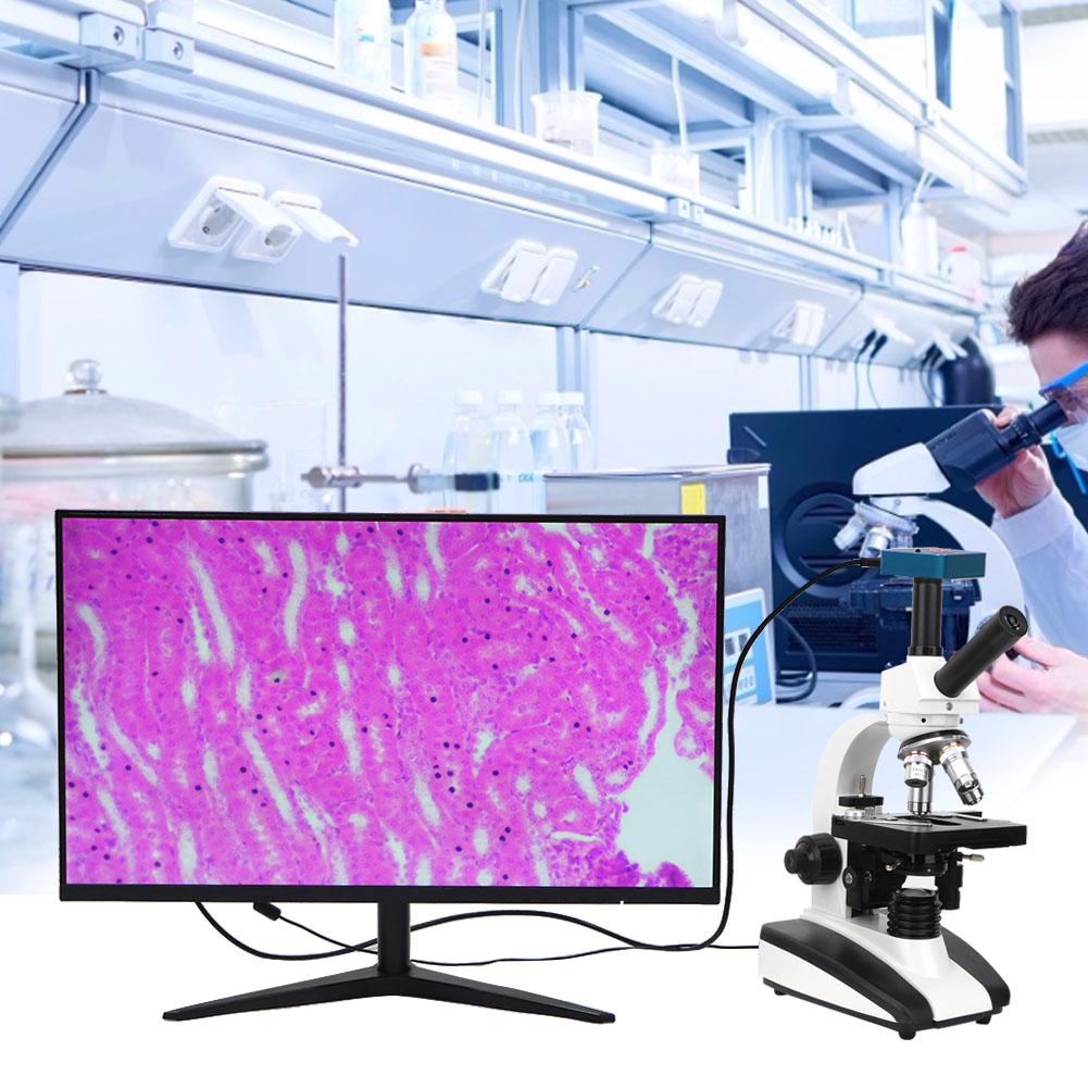 Binocular Compound Microscope Monocular Microscope 40X 1600X Abbe Condenser 2 Layer