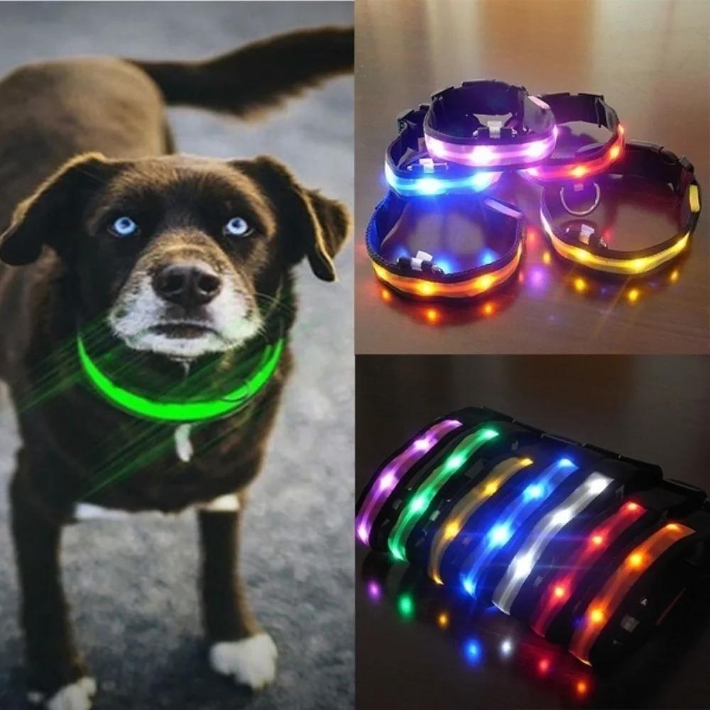 LED Naylon Köpek Evcil Hayvan Kedi Tasması Güvenlik Gece Kolyesi Kayıp Önleyici Yanıp Sönen Simli Tasmalarlar Köpek Gezdirme İçin