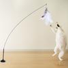 Cat Toys Interactive Cat Toy Steel Wire Feather Toys for Cats Stick Suction Cup Feather Cats Toy with Bell Teaser Pet Products