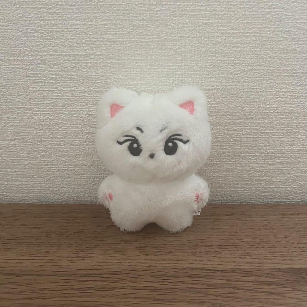 [USED] Enhypen Jungwon Plush Toy, Yancomi, 10cm