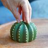 Cactus Coaster Set 3D Printed Cactus Coaster with Flowerpot Holder Funny Desktop Coaster for Plant Lovers Gift Home Office Bar Decoration