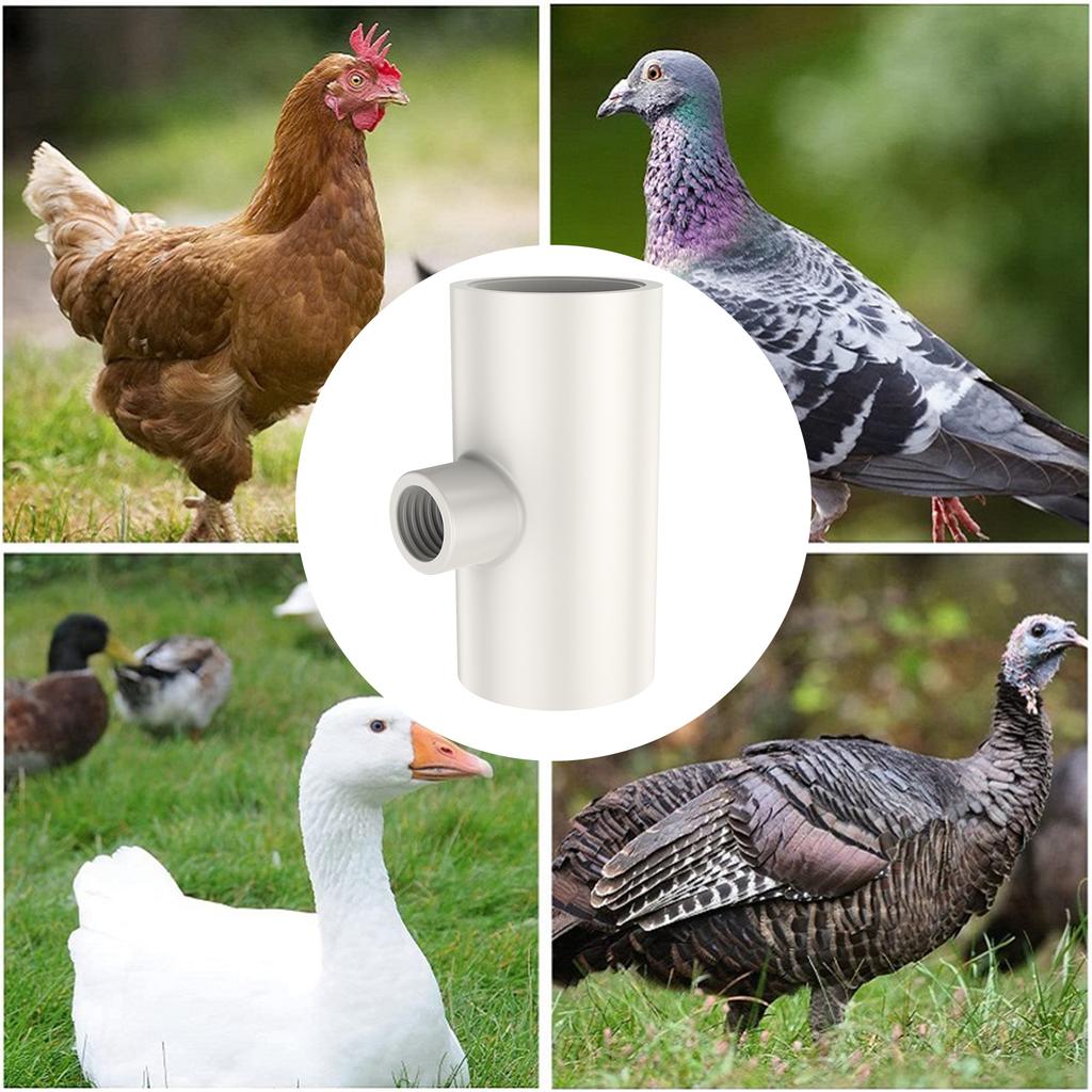 25Pcs Chicken Waterer PVC Tee Fitting White Automatic Poultry Waterer Poultry Water Drinker Waterer Nipples for Ducks Chickens