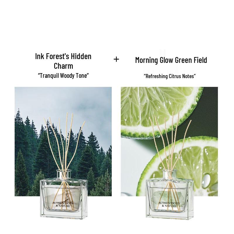 Joyroom Flameless Scent Diffuser 2-Pack