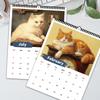 1pc 2026 Wall Calendar, High-Resolution Cat Photos, 12 Beautiful Designs, Monthly Plans, Perfect Gift for Birthday, Christmas