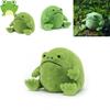 Adorable Ricky Rain Frog Plush Toy Soft Cartoon Frog Doll For Kids 30x25x20cm