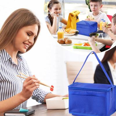 Bolsa Térmica para Almuerzo Bolsa Aislante Portátil de Gran Capacidad Plegable Ligera Bolsa Refrigeradora Suministros para Camping