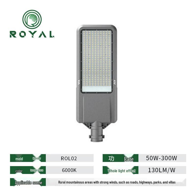 Rongya Smart LED Outdoor Street Light