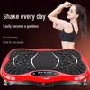 Brangdy Full Body Vibration Fat-Loss Machine CN Plug (adapter Included)