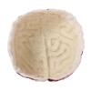 Halloween Brain Hat Funny Realistic Headwear Costume Accessory