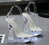 Fashion Designer Sandals Sandalias Women 2025 Summer New Flowers Transparent High Heels 14.5cm Platform Thick Heel Ladies Banquet Shoes