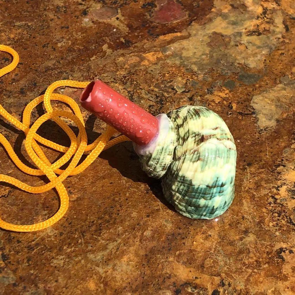 Street Stall Conch Shell Whistles & Toys: Creative Souvenirs