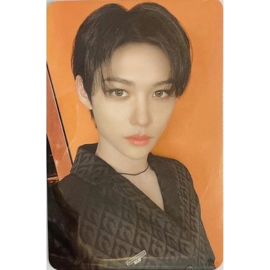 Stray Kids Stay In STAY In JEJU JYP SHOP SKZOO STORE OFFICIAL PHOTO CARD