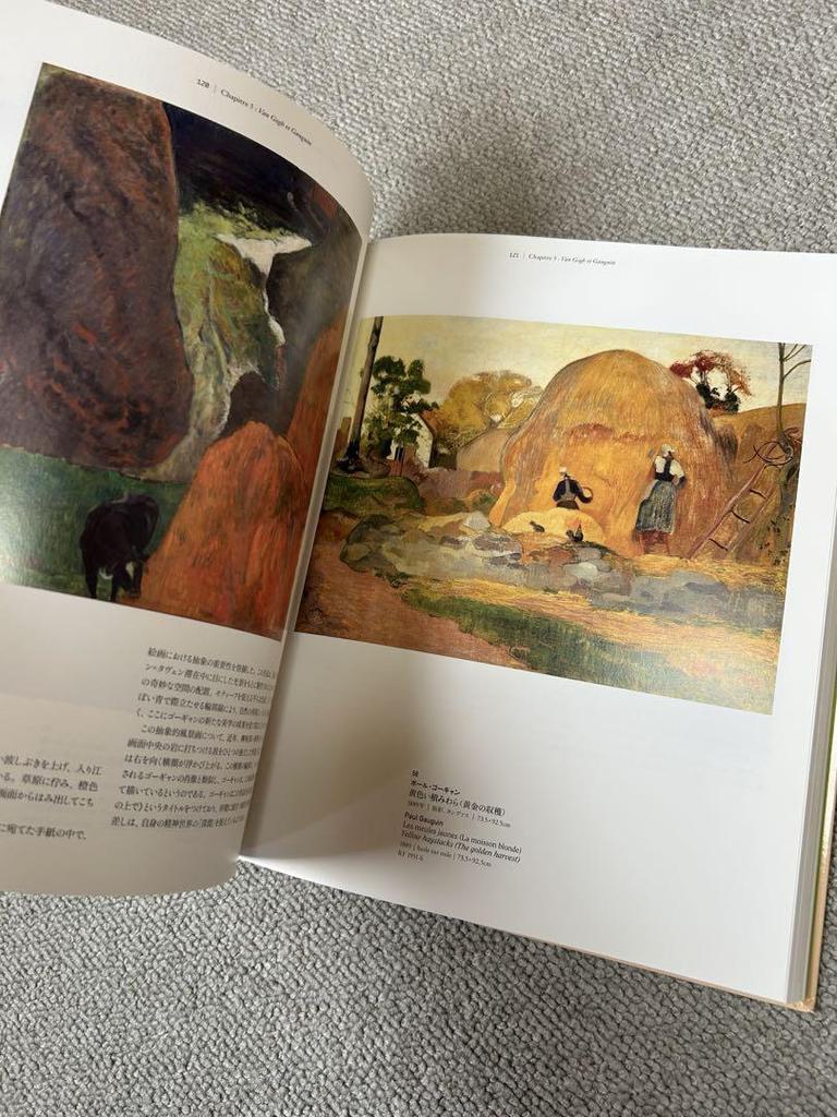 [USED] Musee d'Orsay Exhibition 2010 Post-Impressionist Collection Catalog Free Shipping Anonymous Shipping