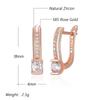 Shiny White Natural Zircon English Earrings For Women Luxury  Rose Gold Color Wedding Accessories Fine Jewelry